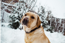 Extreme winter weather safety tips Extreme winter weather safety tips